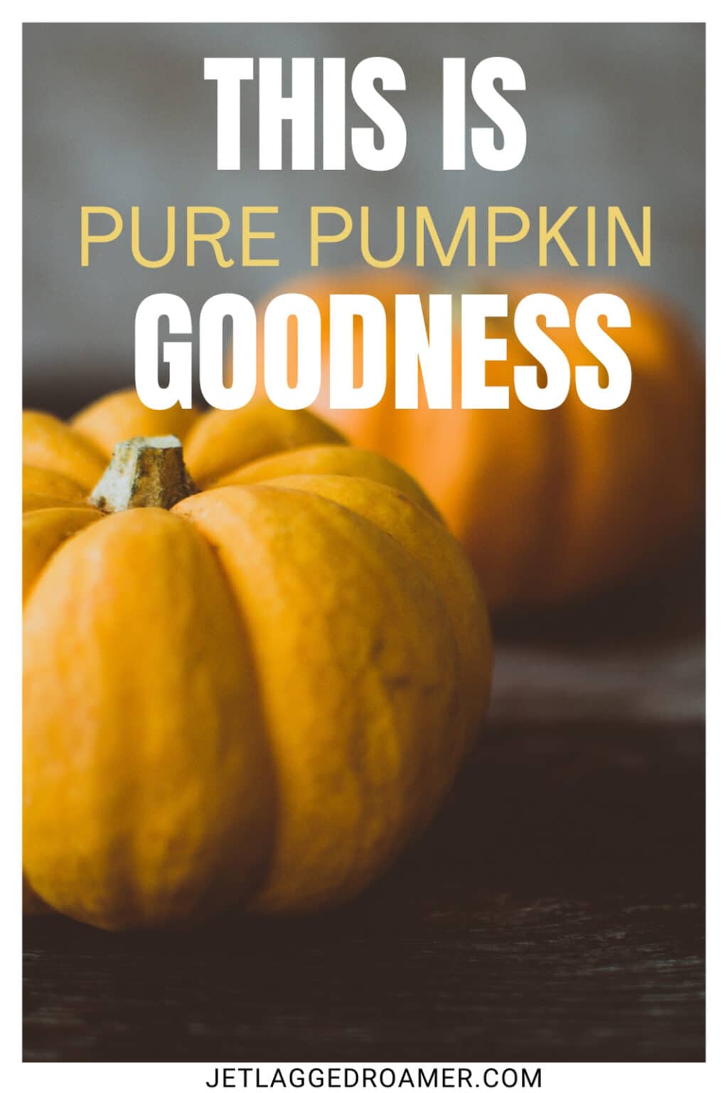 120 Pumpkin Patch Captions For Instagram To Let Your Gourd Down JR