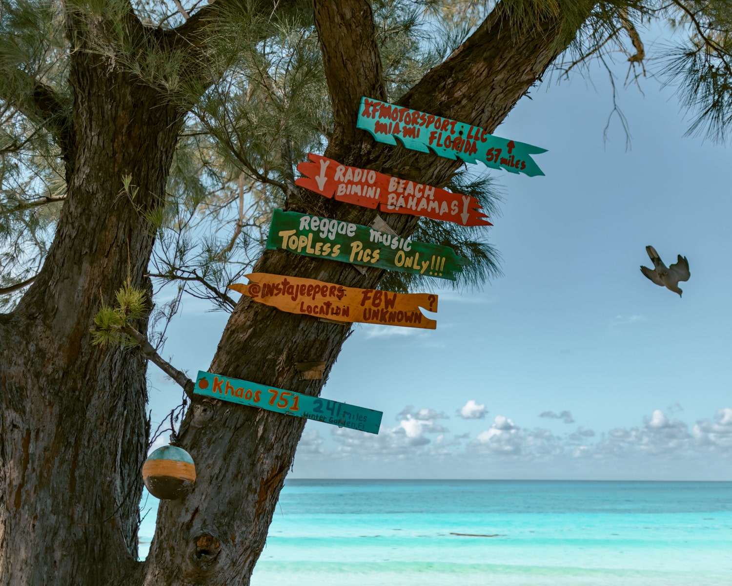 One Thrilling Bimini Travel Guide For The Perfect Escape To The ...