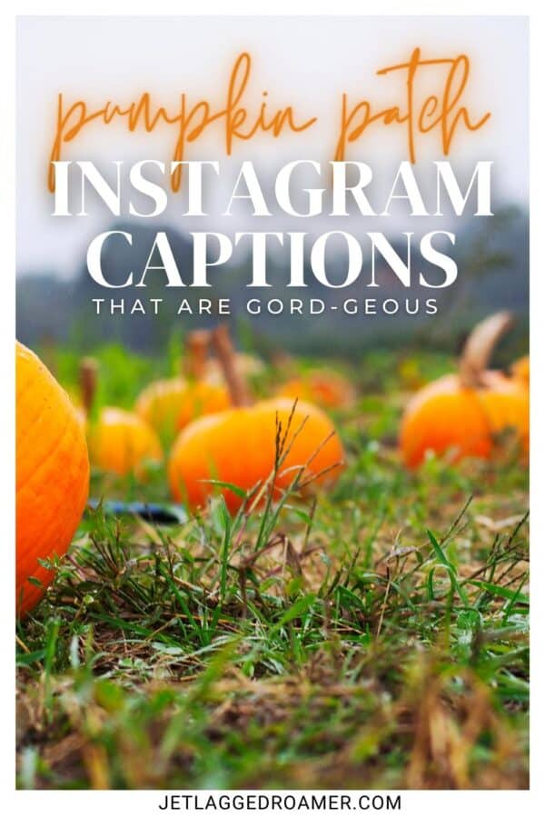 120-pumpkin-patch-captions-for-instagram-to-let-your-gourd-down-jr