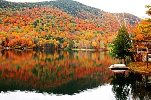 Fall Instagram captions photo of colorful fall leaves by a river.