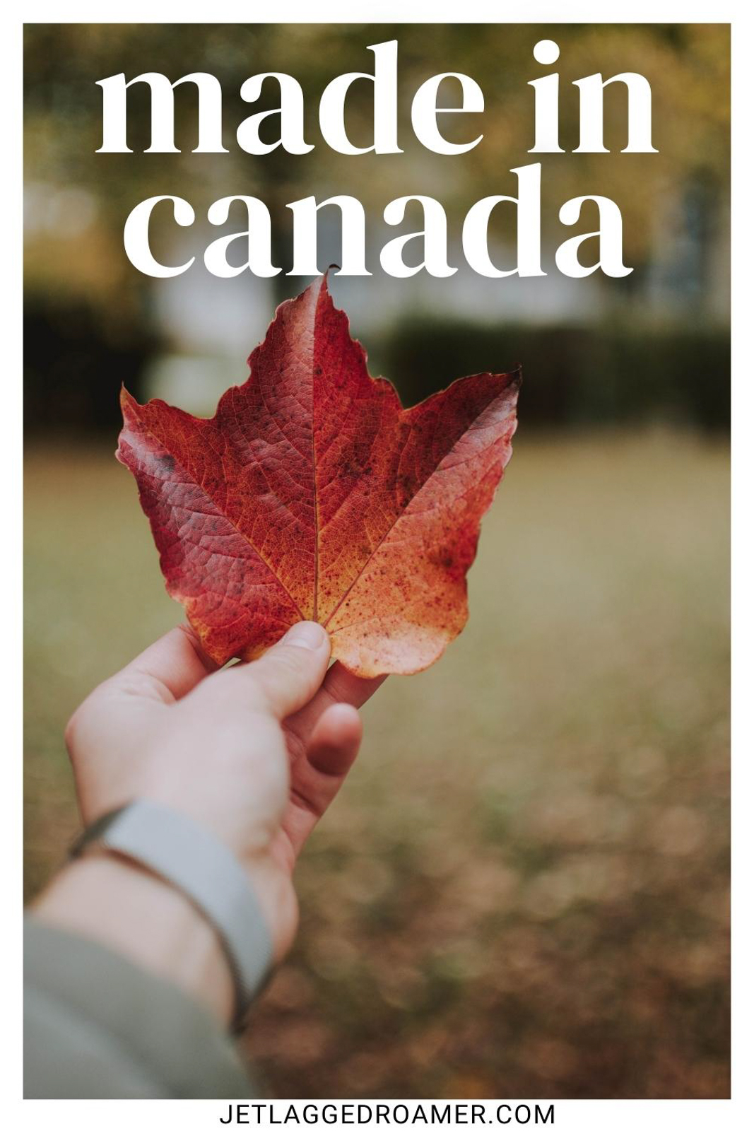 270-canada-instagram-captions-that-are-unbe-leaf-able-jr