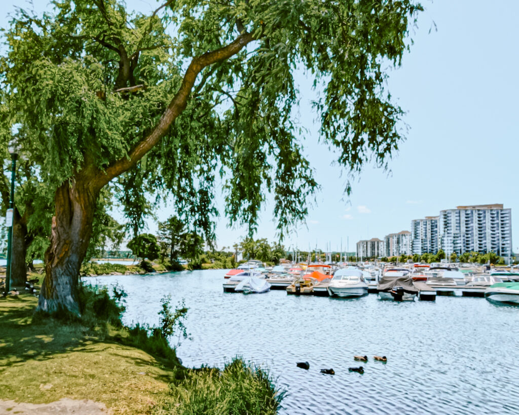 One of the harbors in Barrie. 